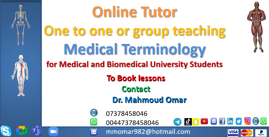 medical terminology poster